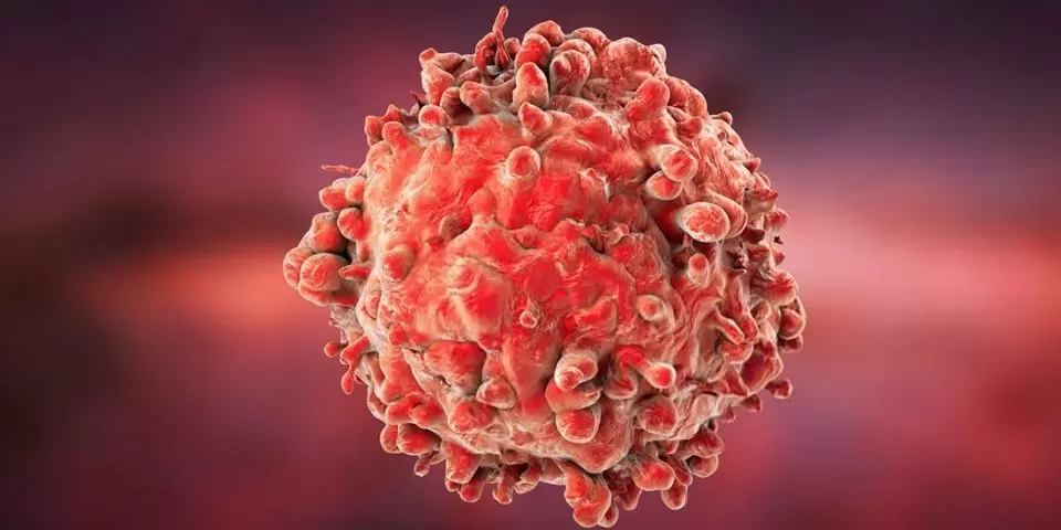 Estagios-do-cancer-de-mama-sao-explorados-com-a-cromatografia-960×480